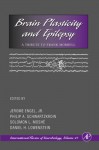 Brain Plasticity and Epilepsy: A Tribute to Frank Morrell - Jerome Engel Jr., Solomon L. Moshé, Daniel H. Lowenstein, Philip A. Schwartzkroin