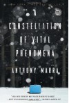 A Constellation of Vital Phenomena: A Novel - Anthony Marra