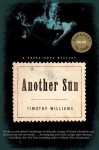 Another Sun - Timothy Williams