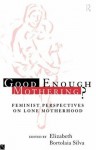 Good Enough Mothering?: Feminist Perspectives on Lone Motherhood - Elizabeth Bortolaia Silva