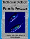 Molecular Biology Of Parasitic Protozoa - Marilyn Parsons, Deborah F. Smith