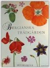 Bergianska trädgården - Monika Björk