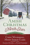 Amish Christmas at North Star: Four Stories of Love and Family - Amanda Flower, Cindy Woodsmall