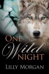 One Wild Night (Wild Nights) - Lilly Morgan