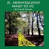 Il meraviglioso mago di Oz [The Wonderful Wizard of Oz] - L. Frank Baum, Silvia Cecchini, Gli Ascoltalibri