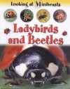 Ladybirds And Beetles (Looking At Minibeasts) - Sally Morgan