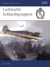 Luftwaffe Schlachtgruppen - John Weal