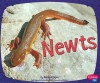 Newts (Amphibians) - Molly Kolpin, Gail Saunders-Smith
