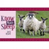 Know More Sheep - Jack Byard