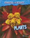 Plants - Melanie Waldron