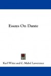 Essays on Dante - Karl Witte