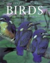 Encyclopedia of Birds (Natural World) - Joseph M. Forshaw