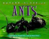 Ants - Elaine Pascoe, Dwight Kuhn