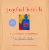 Joyful Birth: A Spiritual Path to Motherhood - Susan Piver