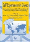 Self Experiences in Group: Intersubjective and Self Psychological Pathways to Human Understanding (International Library of Group Analysis) - Irene Harwood, Malcolm Pines, Robert D. Stolorow, Ernest Wolf