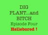 Hellebored (Dig, Plant and Bitch - the Soap Opera for Gardeners Book 4) - Noel Kingsbury