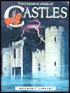 Castles Internet-Linked - Lesley Simms