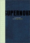 Supernova: Art Of The 1990s From The Logan Collection - Madeleine Grynsztejn, Katy Siegel, Neal Benezra