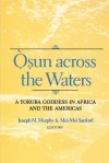 Osun Across the Waters: A Yoruba Goddess in Africa and the Americas - Joseph M. Murphy