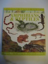 Amphibians and Reptiles (Science Nature Guides) - Christiane Gunzi, Alan Male