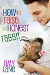 How to Raise an Honest Rabbit (Knitting, #2) - Amy Lane