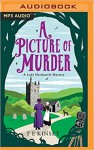 A Picture Of Murder - Elizabeth Knowelden, T E Kinsey