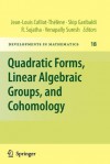 Quadratic Forms, Linear Algebraic Groups, and Cohomology - Skip Garibaldi, R Sujatha, Venapally Suresh