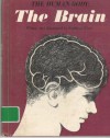 Brain - Kathleen Elgin