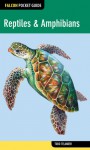 Falcon Pocket Guide: Reptiles & Amphibians - Todd Telander