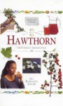 In a Nutshell: Hawthorn - Jill Rosemary Davies