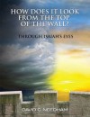 How Does It Look From the Top of the Wall? - David Needham