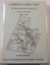 A tempest in a small town: The myth and reality of country life : Granby, Connecticut, 1680-1940 - Mark Williams