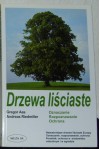 Drzewa liściaste - Gregor Aas