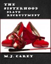 Slave Recruitment - M.J. Carey