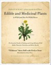 Identifying & Harvesting Edible and Medicinal Plants - Steve Brill, Evelyn Dean