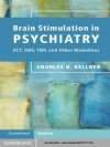 Brain Stimulation in Psychiatry - Charles H. Kellner