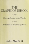 The Grapes of Eschol - John Macduff