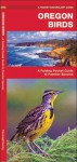 Oregon Birds: A Folding Pocket Guide to Familiar Species - James Kavanagh