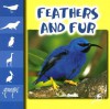 Feathers And Fur (Let's Look At Animals) - M. Higginson