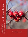 Hawthorn (Natural Herbal Living Magazine Book 7) - Amanda Klenner, Charis Denny, Darcy Blue, Lea Harris, Sarah Bedell Cook, Heather Lanham, Nina Katz, Carol Little, Angela Justis, Caitlin Lane