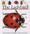 The Ladybird - Sylvaine Peyrols