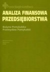 Analiza finansowa przedsiębiorstwa - Pomykalska Bożyna, Przemysław Pomykalski