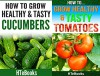 How To Grow Healthy & Tasty Vegetables - 2 books in 1: Covers - Tomatoes and Cucumbers - HTeBooks