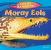 Moray Eels - Ruth Owen