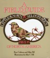 A Field Guide to Little-Known and Seldom-Seen Birds of North America - Ben Sill