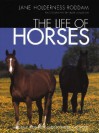 The Life of Horses - Jane Holderness-Roddam