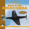 Bell P-39 Airacobra - Robert Pęczkowski, Artur Juszczak