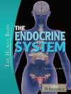 The Endocrine System - Britannica Educational Publishing, Kara Rogers