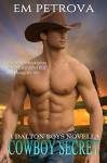 Cowboy Secret (The Dalton Boys Book 4) - Em Petrova