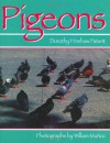 Pigeons - Dorothy Hinshaw Patent, William Muñoz